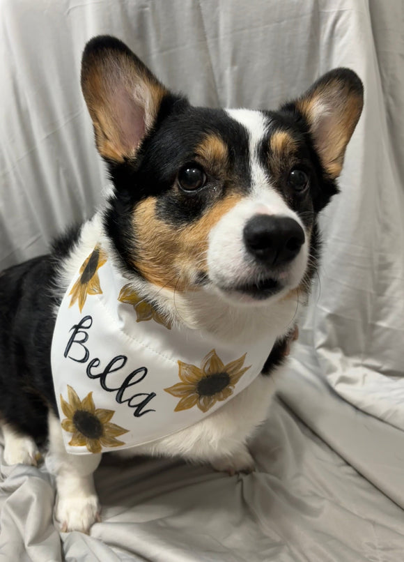 Hand Painted Pet Bandanas